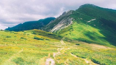 Trends of Mobile Design: What's Next for Your Business?